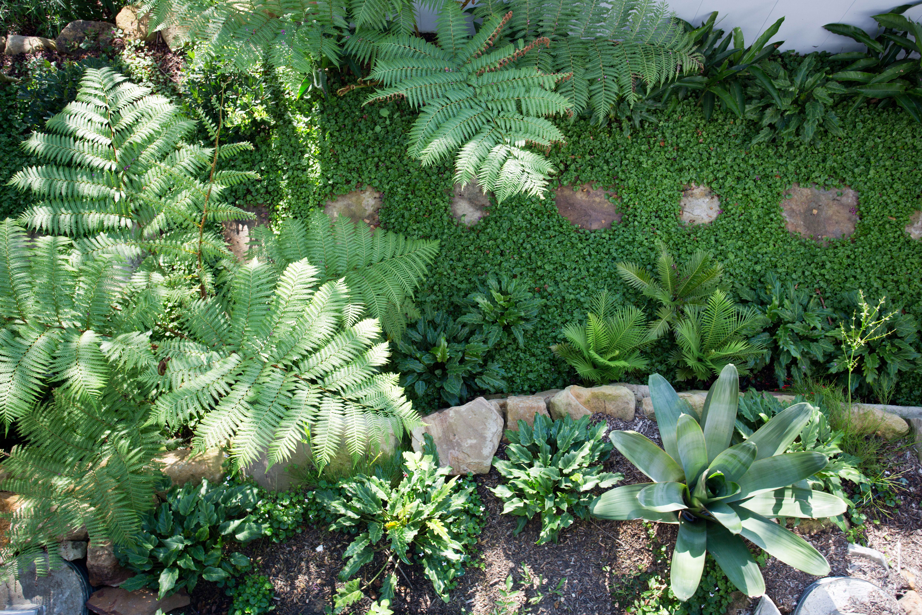 Landscaping Services