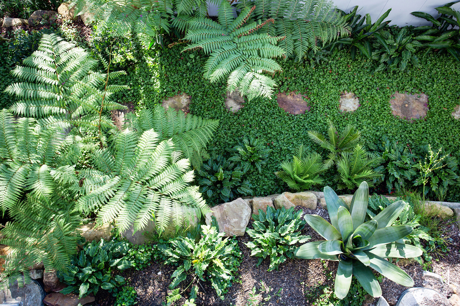 Looking after your garden - beecraft landscape in spring!